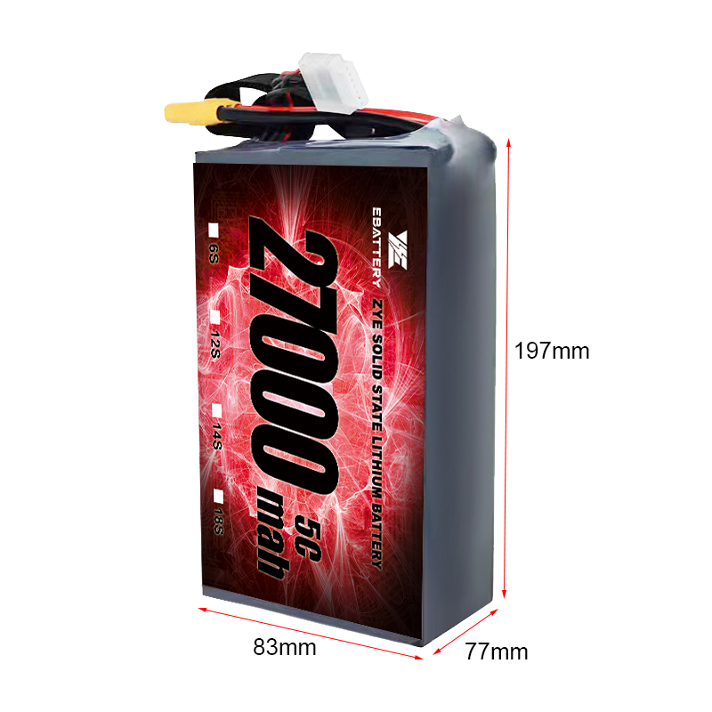 The Future of Solid State Battery
